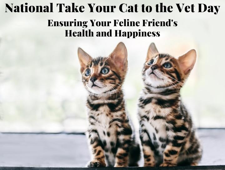 Take Your Cat to the Vet Day Simsbury Veterinary Hospital